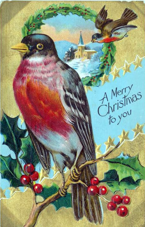 christmas illustration bird