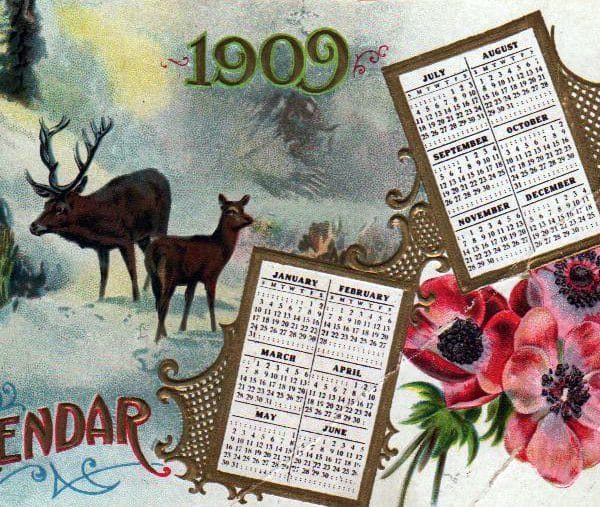 winter animals reindeer calendar