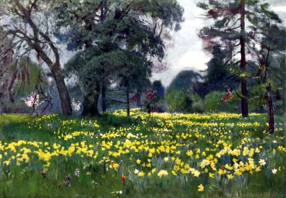 Free vintage landscape of yellow daffodils in the garden, public domain.