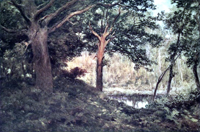 Free public domain vintage landscape of a forest in England.