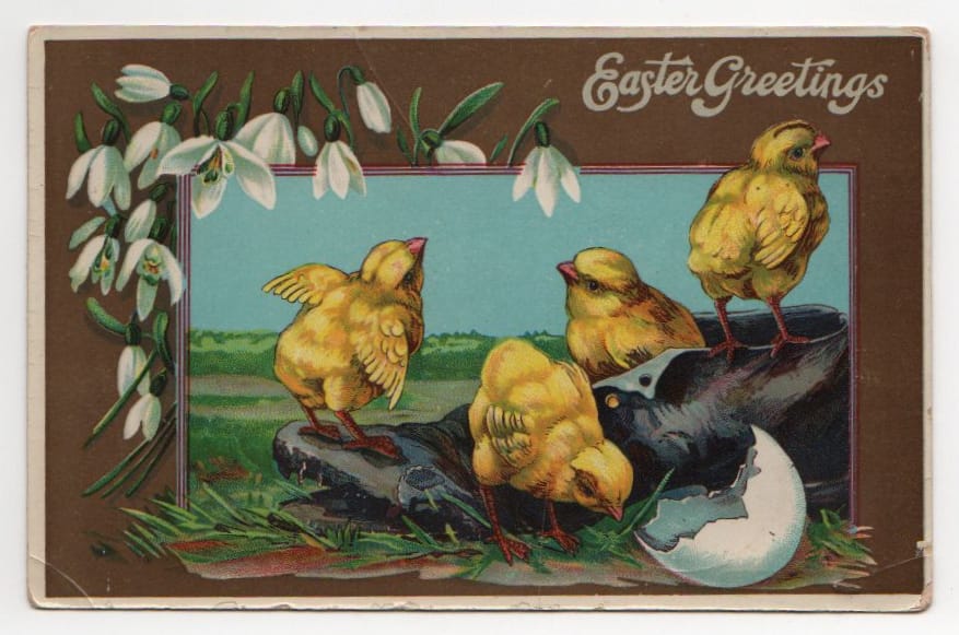 public domain vintage easter greeting chicks with shoe