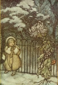 A chrysanthemum heard her and said pointedly ‘Hoity toity what is this 1913 Arthur Rackham