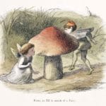 Enter an Elf in search of a Fairy
