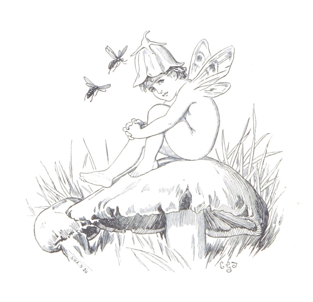 Fairy sitting on a mushroom