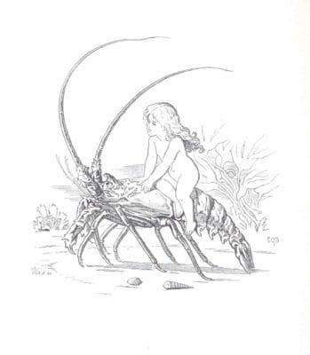 Fairy on a crayfish