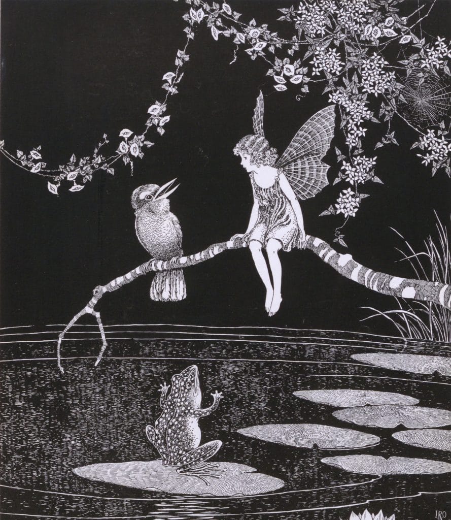 A Kookaburra and Fairy sitting on a branch above a pond