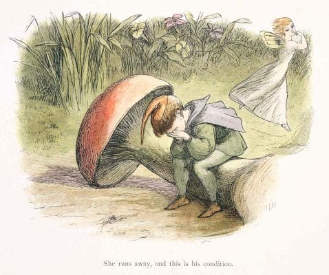 A Fairy running away as a boy elf cries sitting on a mushroom stem