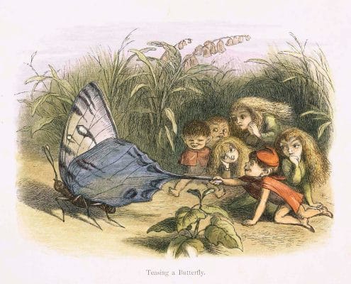 A boy Elf teasing a butterfly by pulling on its wing