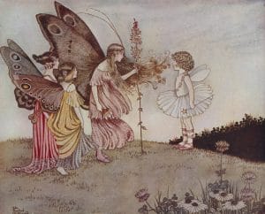 The Pantomine Fairys Dream