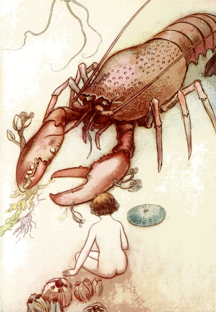 The Water Babies 1909 Tom had never seen a lobster before Poster Print by Warwick Goble
