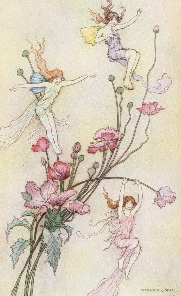 Three Fairies playing around a bunch of flowers