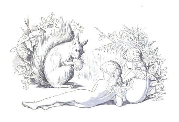 Two Fairies looking at a squirrel eating a nut