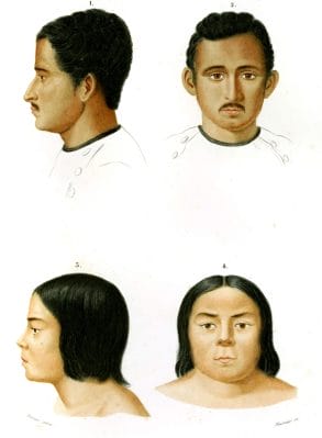 human faces 1 illustration by Charles d Orbigny