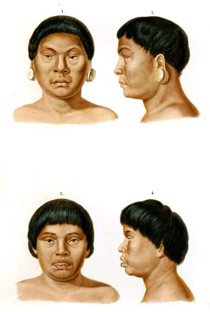 human faces 3 illustration by Charles d Orbigny