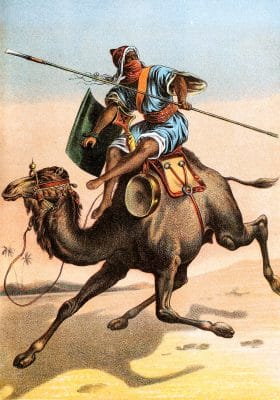 Camel Vintage Illustrations