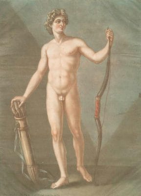 Nude Male Vintage Anatomy Illustrations