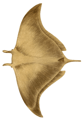 Ox Ray Vintage Illustration