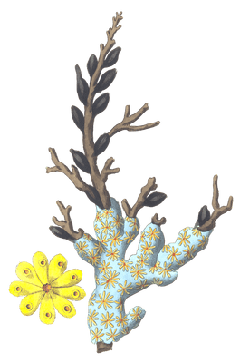 Schlosserian Alcyonium Vintage Coral Illustration