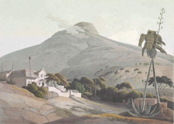 View Of The Lions Head Mountain In Africa Vintage Illustration