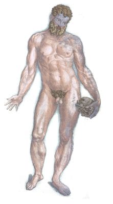 Vintage Anatomy Illustration Male Body