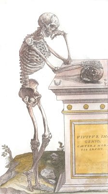 Vintage Anatomy Illustration Skelton Standing Resting On A Shelf