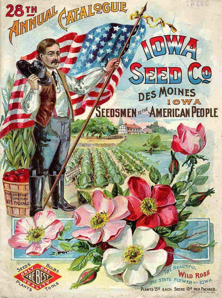 Iowa Seed Co. Des Moines Seedsmen To The American People Vintage Ad Catalog Design