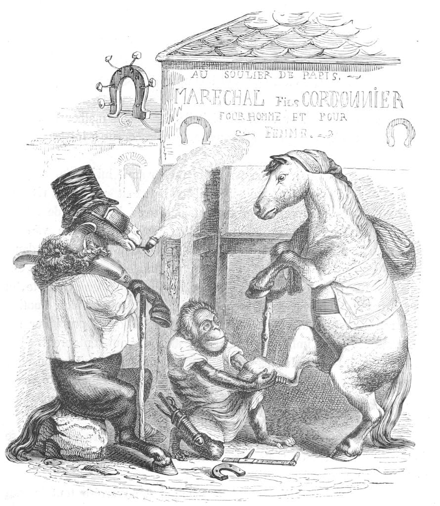 Vintage Anthropomorphic Illustration Of A Horse Getting His Shoe Replaced By A Monkey