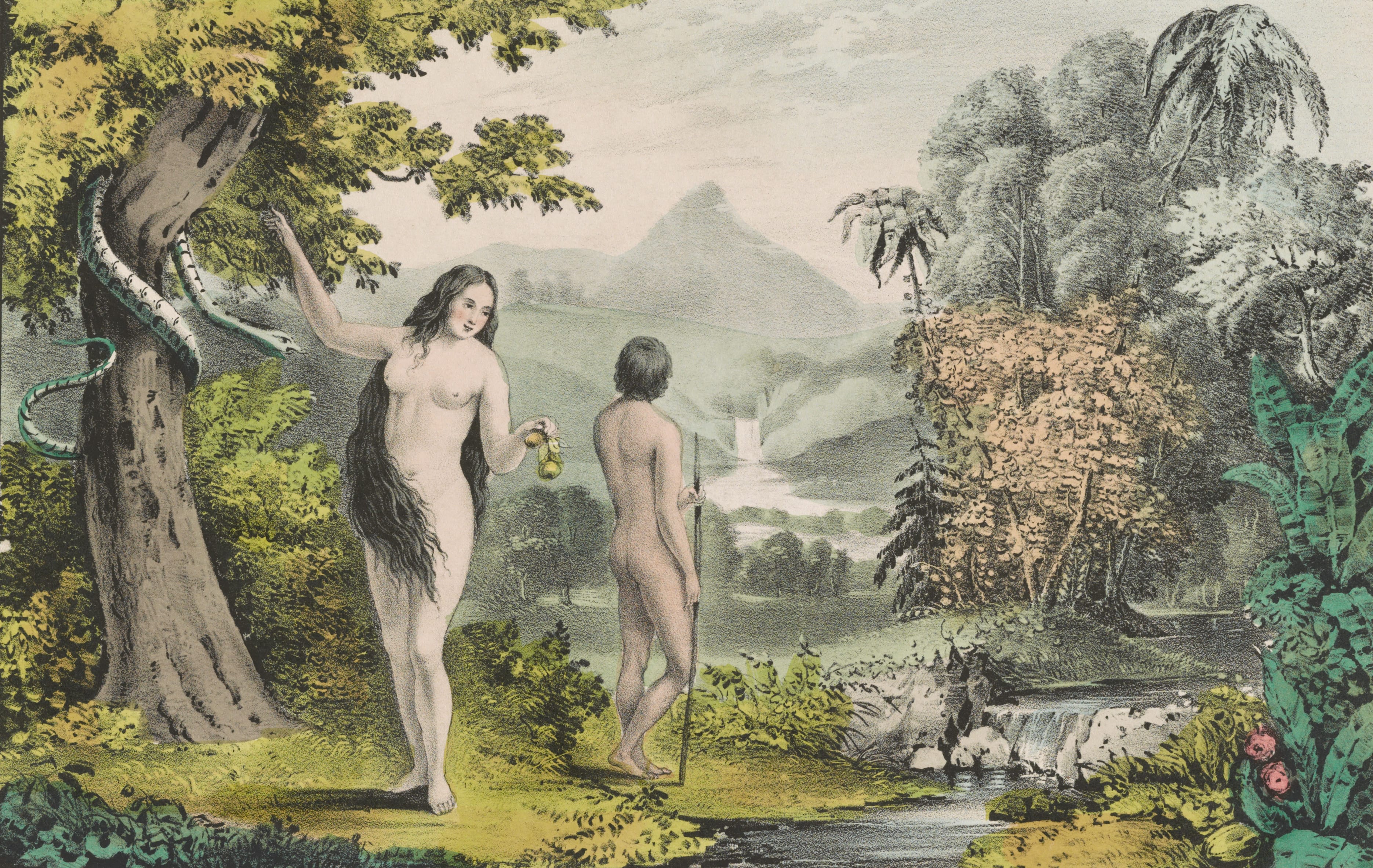 Vintage Illustration Of Adam And Eve