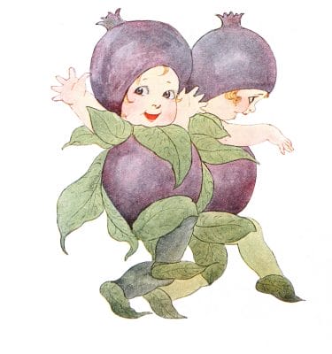 Baby Blueberries Vintage Fairytale Illustration