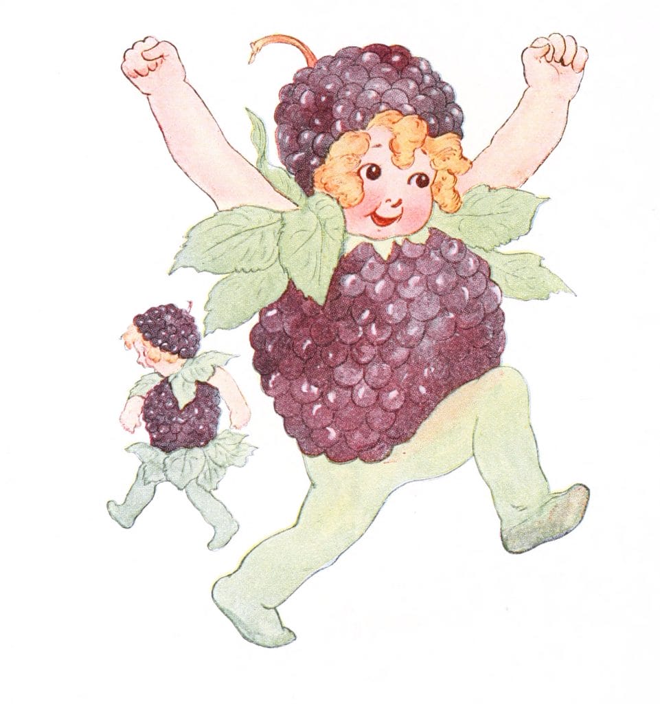 Blackberry Vintage Fairytale Illustration