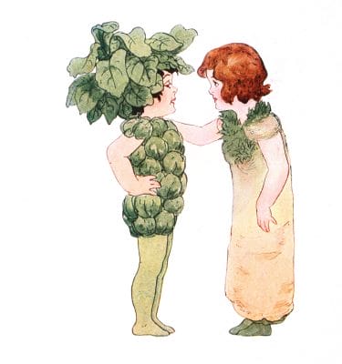 Brussel Sprout Vintage Fairytale Illustration