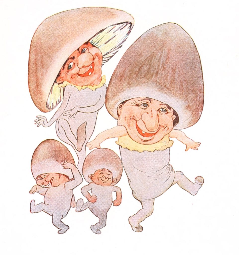Button Mushroom Vintage Fairytale Illustration