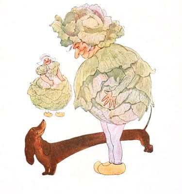 Cabbage Vintage Fairytale Illustration