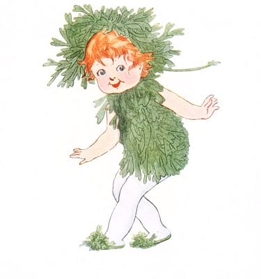 Carrageen Vintage Fairytale Illustration