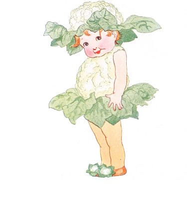 Cauliflower Vintage Fairytale Illustration