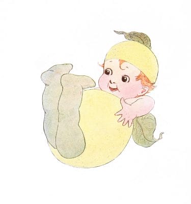 Citron Vintage Fairytale Illustration
