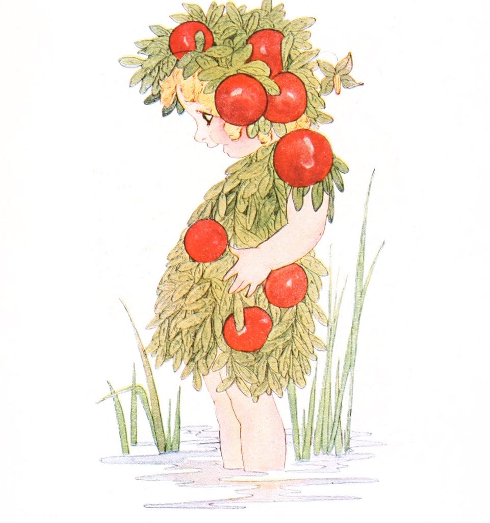 Cranberry Vintage Fairytale Illustration