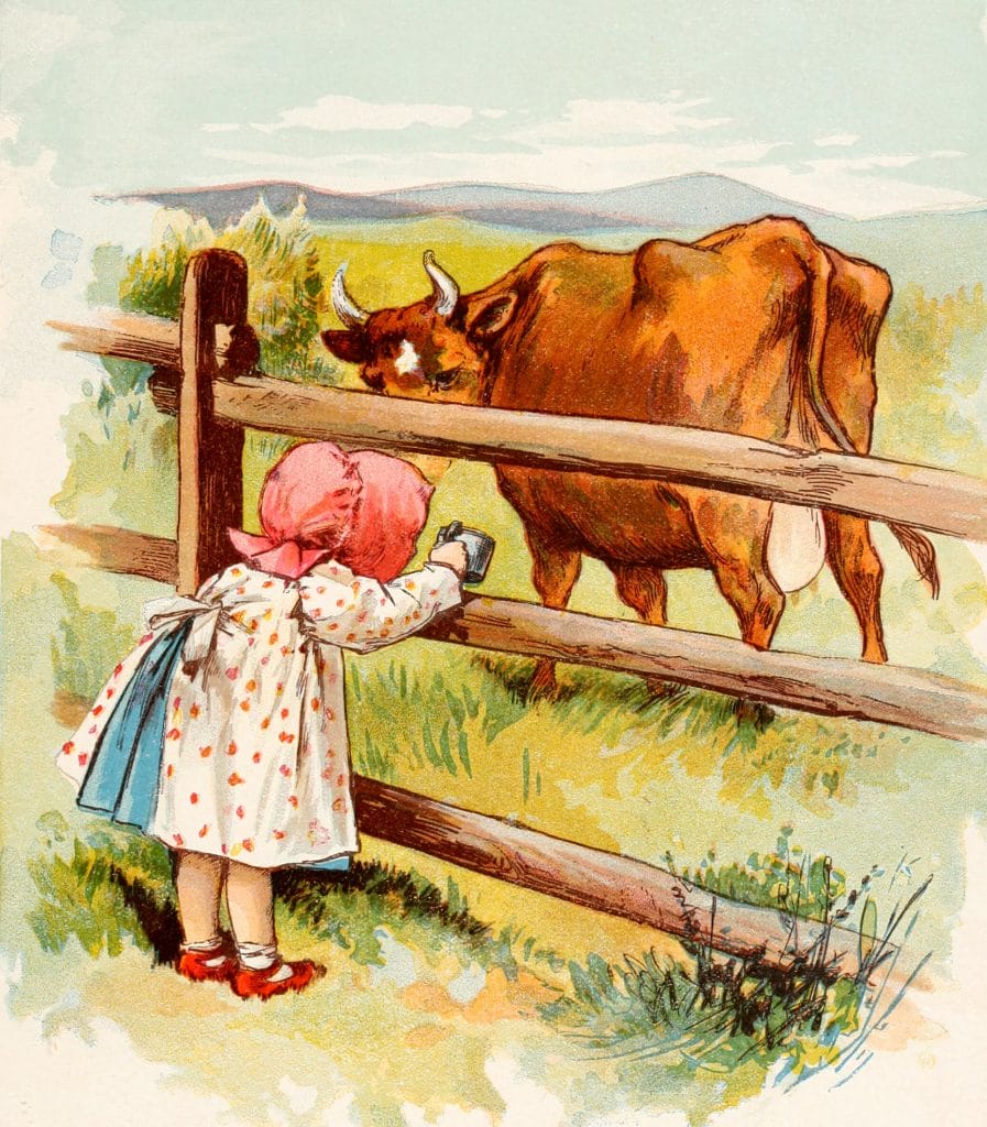 Cushy Cow Bunny Nursery Rhyme Illustration