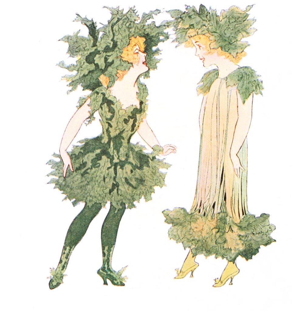 Endive And Celery Vintage Fairytale Illustration