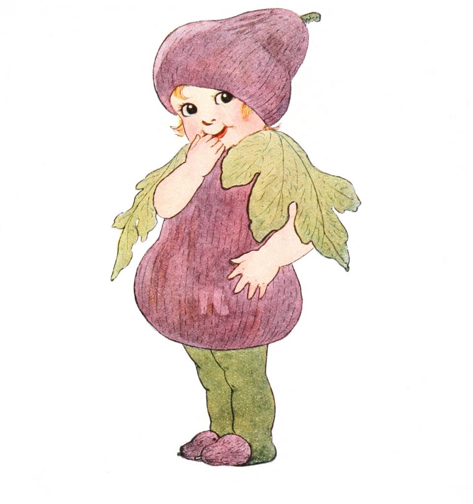 Fig Vintage Fairytale Illustration
