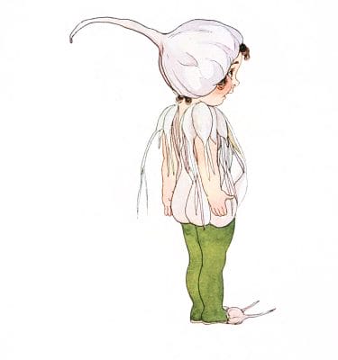 Garlic Vintage Fairytale Illustration