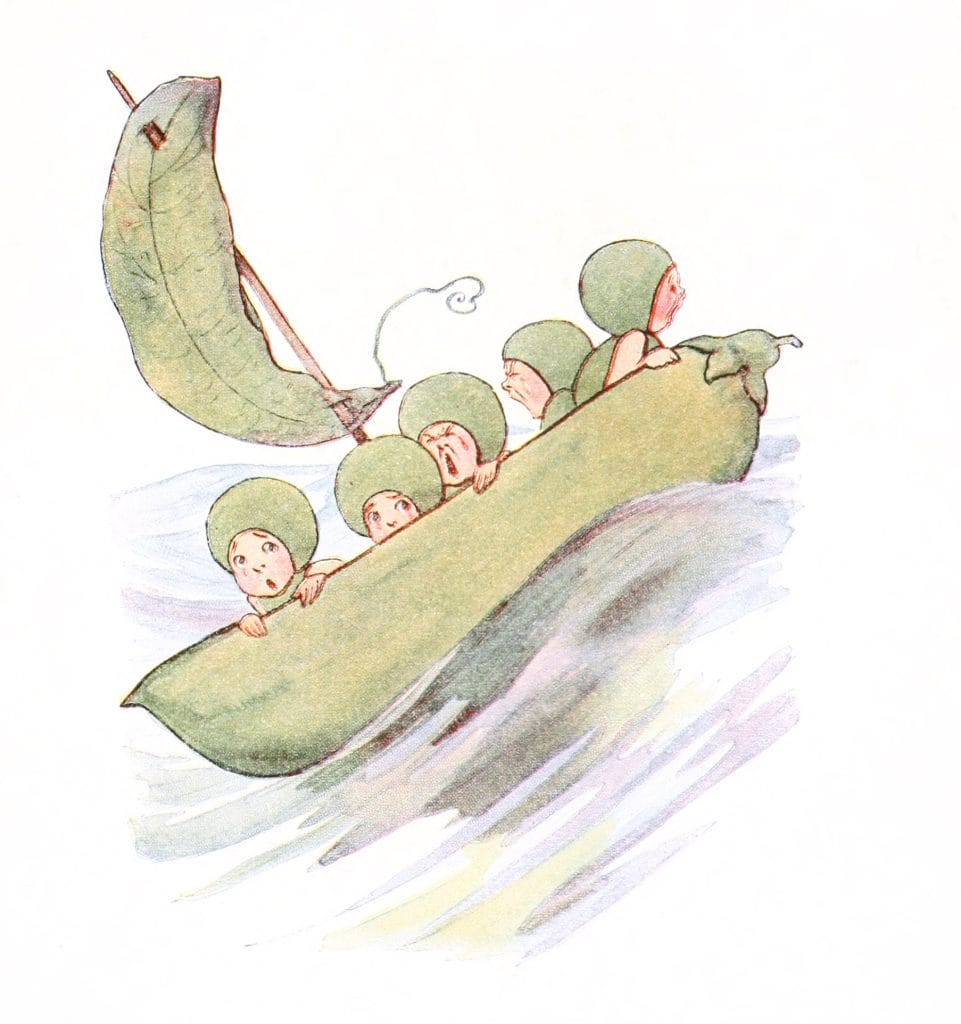 Green Pea Vintage Fairytale Illustration