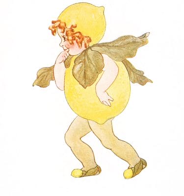 Lemon Vintage Fairytale Illustration