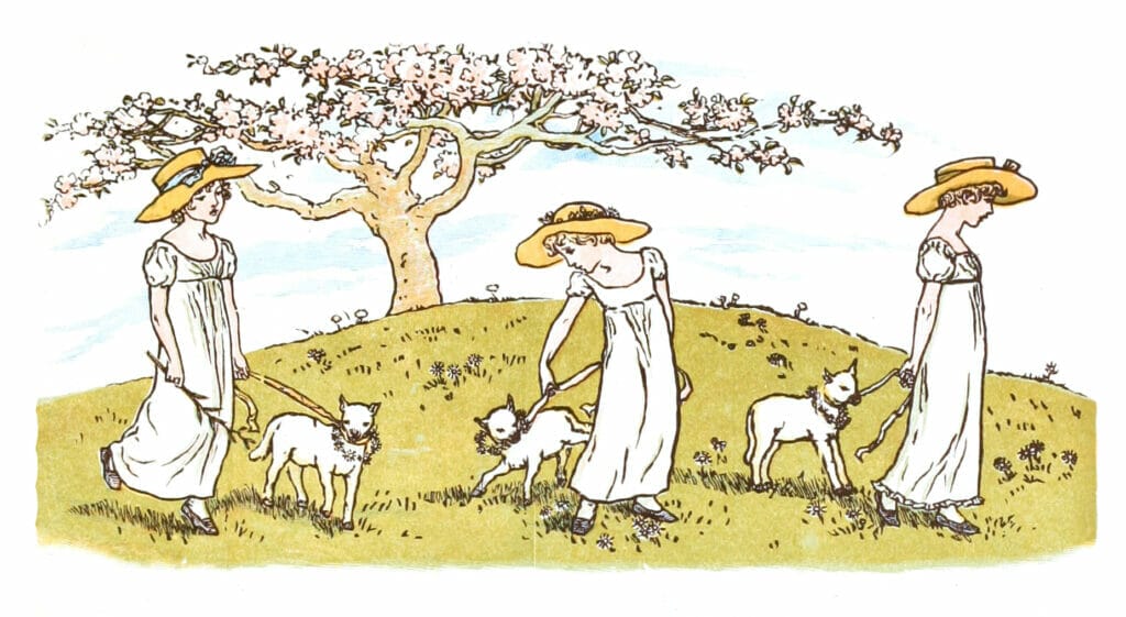 Little Girls And Little Lambs