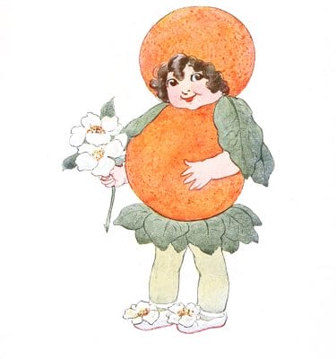 Miss Orange Vintage Fairytale Illustration