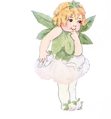 Miss Cotton Vintage Fairytale Illustration