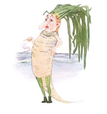 Oyster Plant Vintage Fairytale Illustration