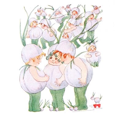 Pearl Onion Vintage Fairytale Illustration