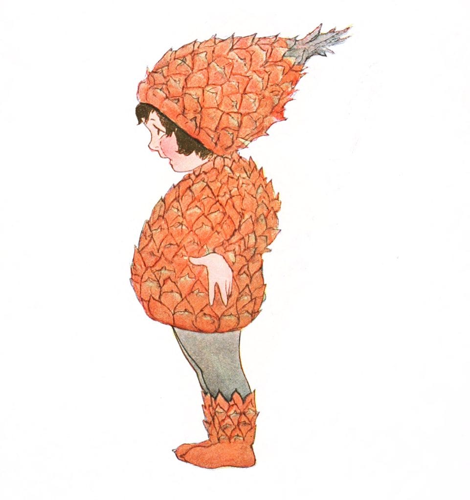 Pineapple Vintage Fairytale Illustration