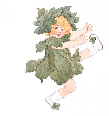 Spinach Vintage Fairytale Illustration